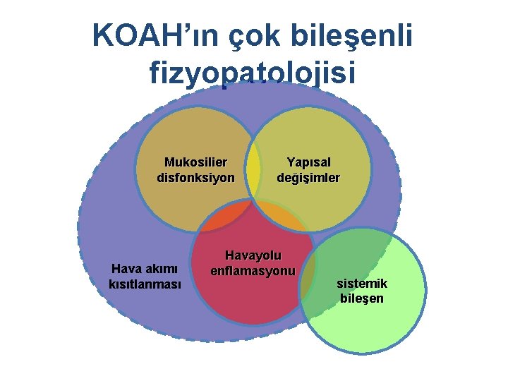 KOAH’ın çok bileşenli fizyopatolojisi Mukosilier disfonksiyon Hava akımı kısıtlanması Yapısal değişimler Havayolu enflamasyonu sistemik KOAH’ın çok bileşenli fizyopatolojisi Mukosilier disfonksiyon Hava akımı kısıtlanması Yapısal değişimler Havayolu enflamasyonu sistemik