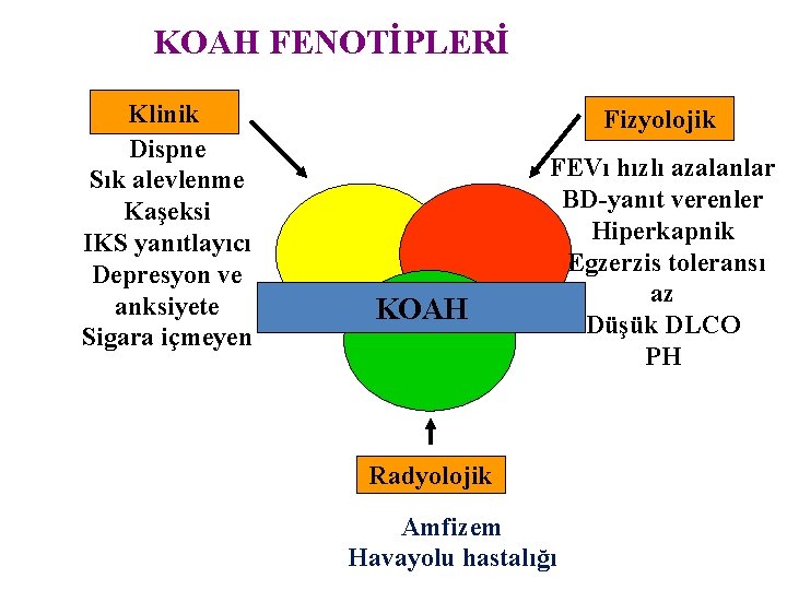 KOAH FENOTİPLERİ Klinik Dispne Sık alevlenme Kaşeksi IKS yanıtlayıcı Depresyon ve anksiyete Sigara içmeyen KOAH FENOTİPLERİ Klinik Dispne Sık alevlenme Kaşeksi IKS yanıtlayıcı Depresyon ve anksiyete Sigara içmeyen