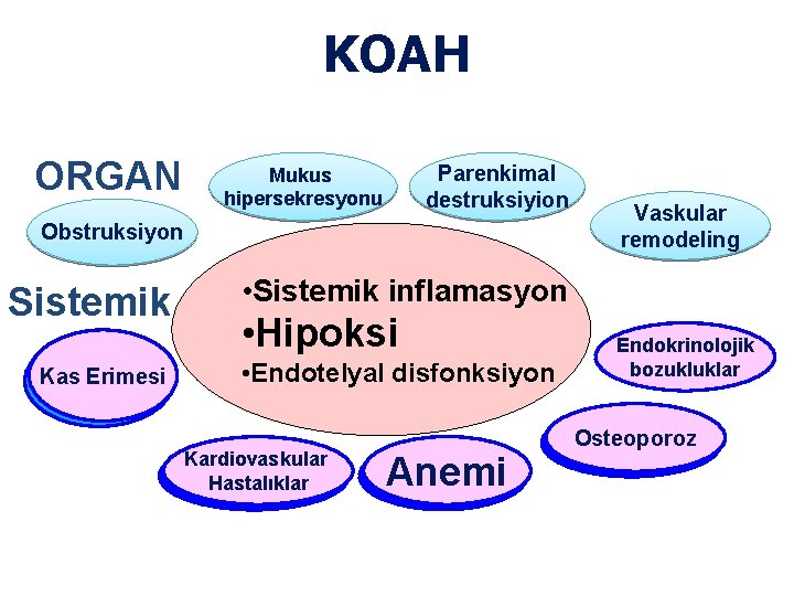 KOAH ORGAN Mukus hipersekresyonu Parenkimal destruksiyion Obstruksiyon Sistemik SYSTEMIC Kas Erimesi Kas Vaskular remodeling KOAH ORGAN Mukus hipersekresyonu Parenkimal destruksiyion Obstruksiyon Sistemik SYSTEMIC Kas Erimesi Kas Vaskular remodeling