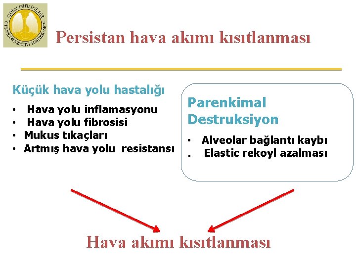 Persistan hava akımı kısıtlanması Küçük hava yolu hastalığı • • Hava yolu inflamasyonu Hava Persistan hava akımı kısıtlanması Küçük hava yolu hastalığı • • Hava yolu inflamasyonu Hava