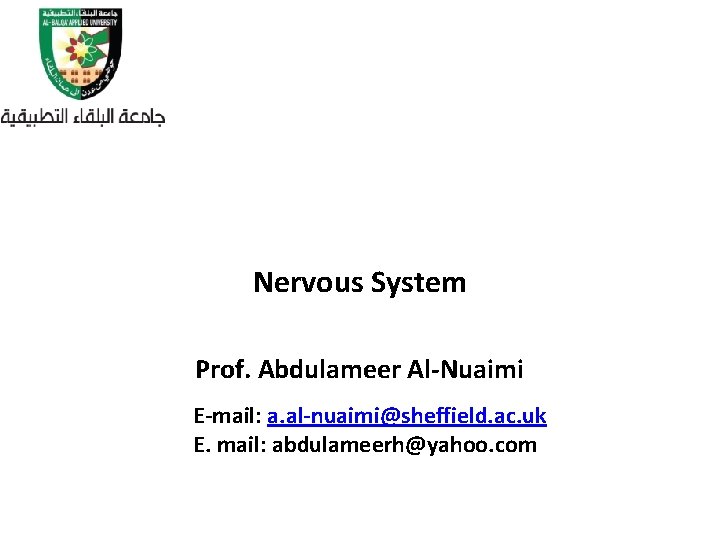 Nervous System Prof. Abdulameer Al-Nuaimi E-mail: a. al-nuaimi@sheffield. ac. uk E. mail: abdulameerh@yahoo. com