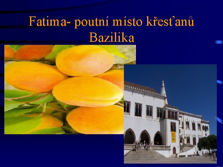 Fatima- poutní místo křesťanů Bazilika • 
