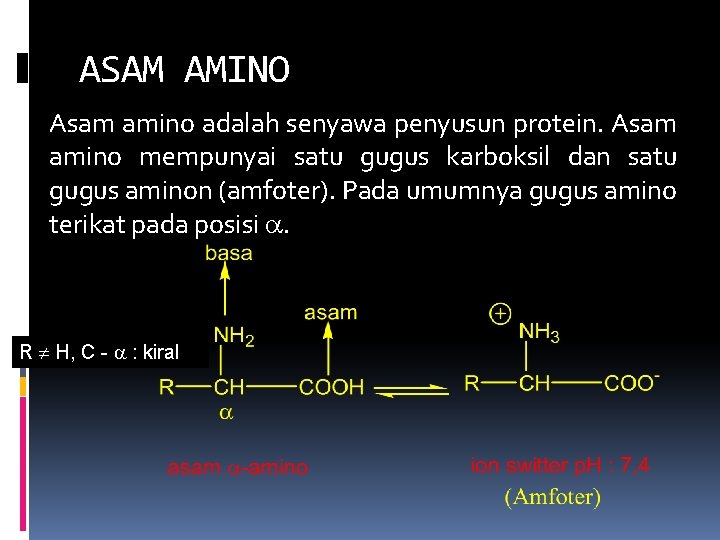 Biokimia Asam Amino Anggota Kelompok Kurnia Nailul F
