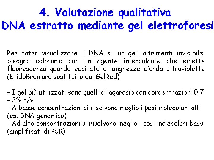 4. Valutazione qualitativa DNA estratto mediante gel elettroforesi Per poter visualizzare il DNA su