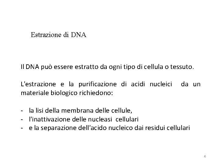 Estrazione di DNA Il DNA può essere estratto da ogni tipo di cellula o