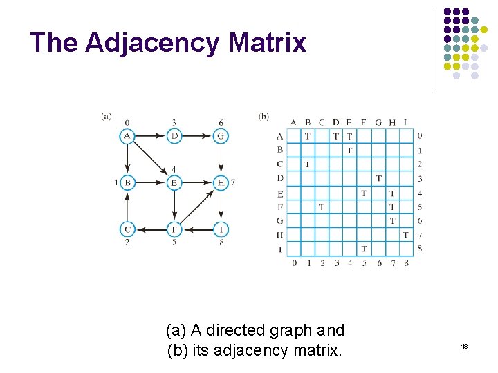 The Adjacency Matrix (a) A directed graph and (b) its adjacency matrix. 48 