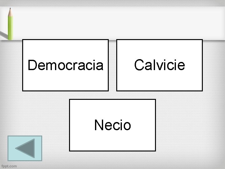 Democracia Necio Calvicie 