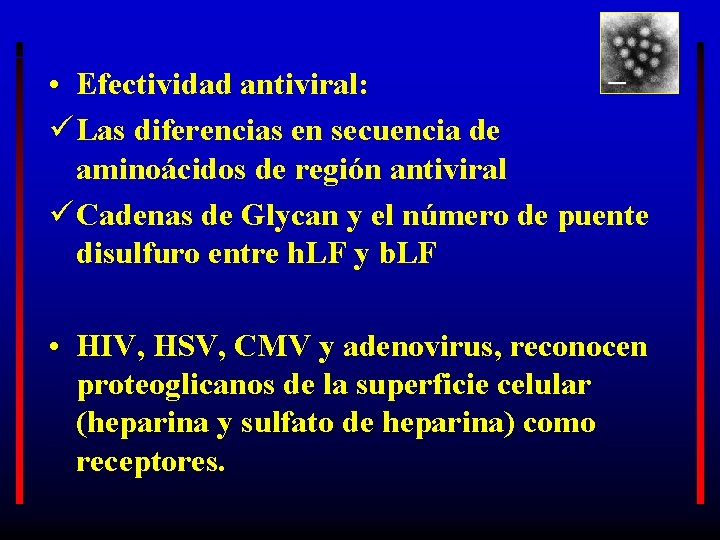  • Efectividad antiviral: ü Las diferencias en secuencia de aminoácidos de región antiviral