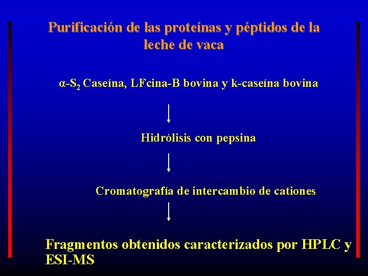 Purificación de las proteínas y péptidos de la leche de vaca α-S 2 Caseína,