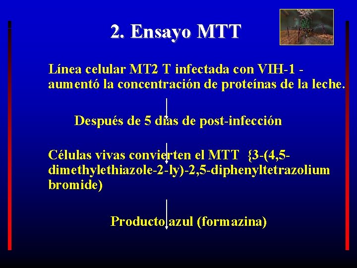 2. Ensayo MTT Línea celular MT 2 T infectada con VIH-1 aumentó la concentración