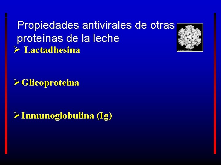 Propiedades antivirales de otras proteínas de la leche Ø Lactadhesina Ø Glicoproteina Ø Inmunoglobulina