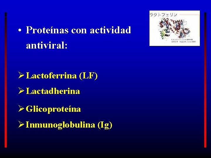  • Proteínas con actividad antiviral: Ø Lactoferrina (LF) Ø Lactadherina Ø Glicoproteína Ø