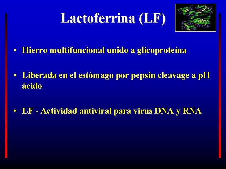 Lactoferrina (LF) • Hierro multifuncional unido a glicoproteína • Liberada en el estómago por