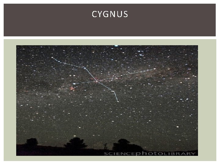 CYGNUS 