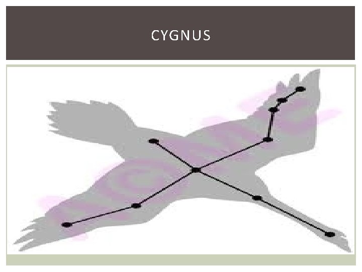 CYGNUS 