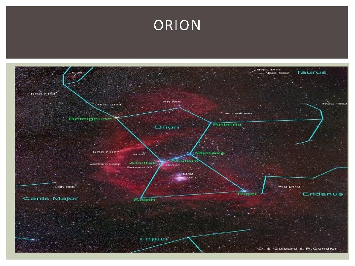 ORION 