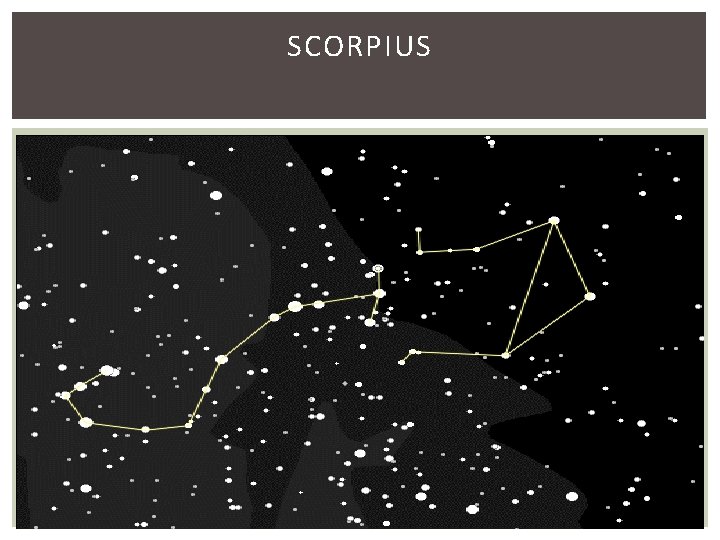 SCORPIUS 