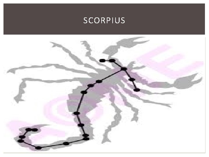 SCORPIUS 