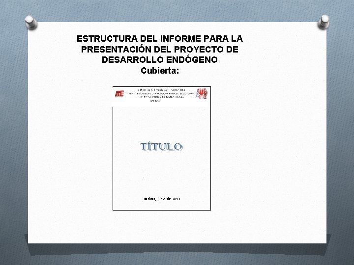 ESTRUCTURA DEL INFORME PARA LA PRESENTACIÓN DEL PROYECTO DE DESARROLLO ENDÓGENO Cubierta: Barinas, junio