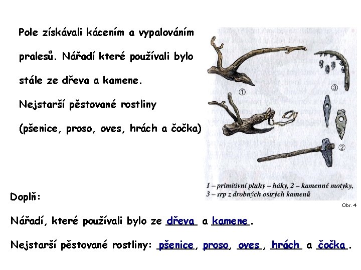 Pole získávali kácením a vypalováním pralesů. Nářadí které používali bylo stále ze dřeva a