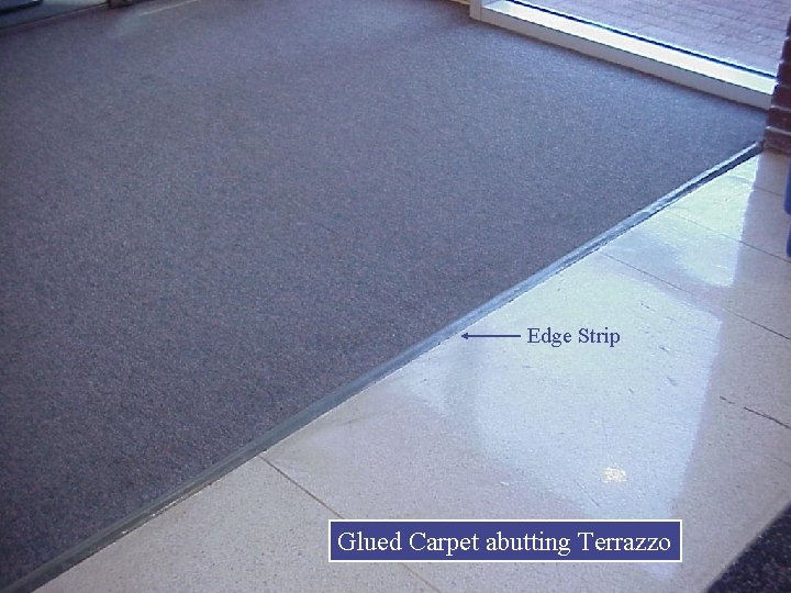 Edge Strip Glued Carpet abutting Terrazzo 