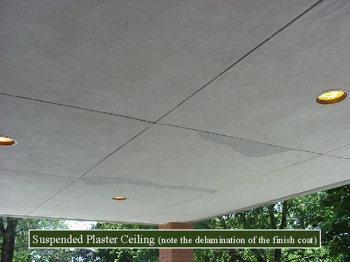 Suspended Plaster Ceiling (note the delamination of the finish coat) 