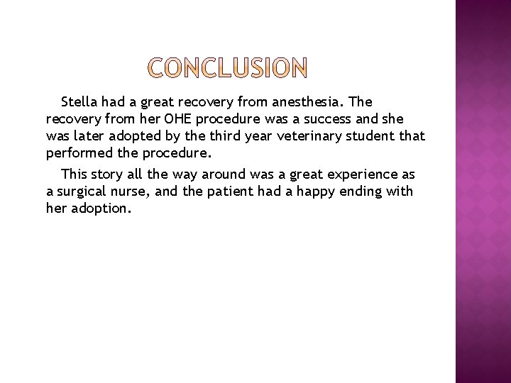 Stella had a great recovery from anesthesia. The recovery from her OHE procedure was