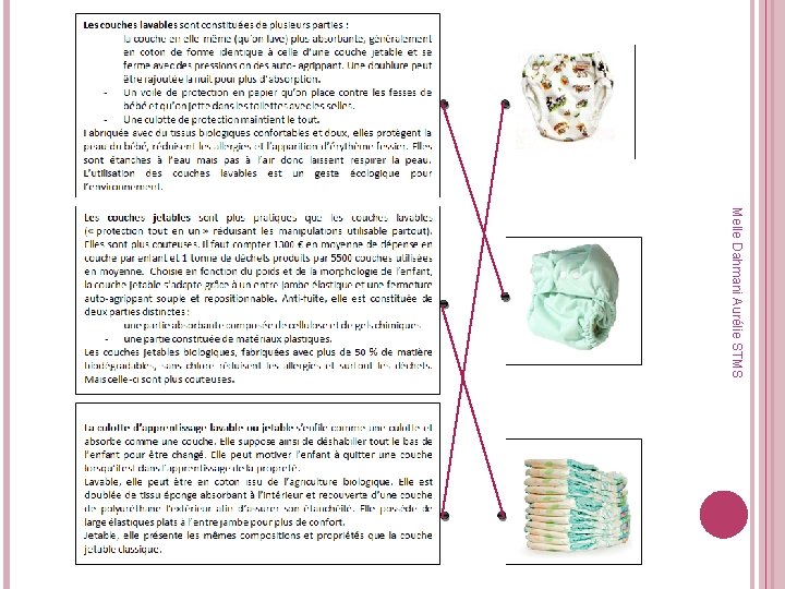 Melle Dahmani Aurélie STMS 
