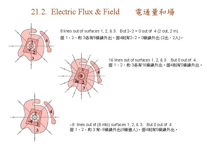 21. 2. Electric Flux & Field 電通量和場 8 lines out of surfaces 1, 2,