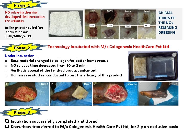 Phase: 1 NO releasing dressing developed that overcomes the setbacks ANIMAL TRIALS OF THE