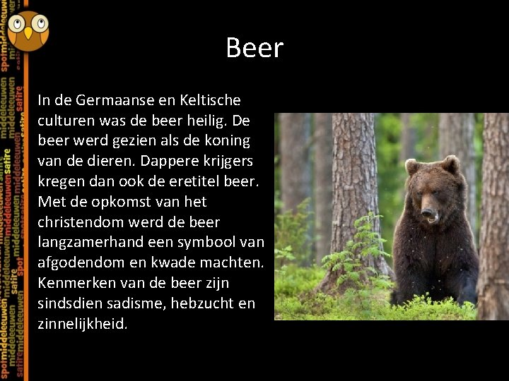 Beer In de Germaanse en Keltische culturen was de beer heilig. De beer werd