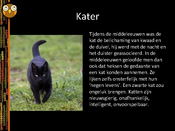 Kater Tijdens de middeleeuwen was de kat de belichaming van kwaad en de duivel,