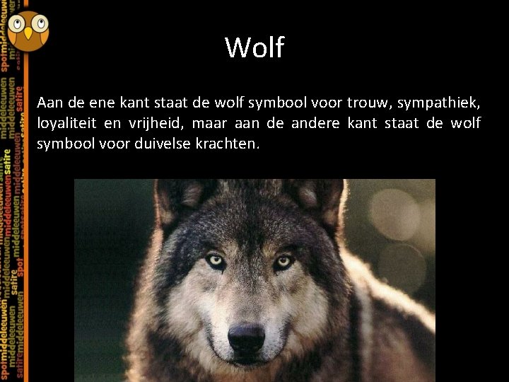 Wolf Aan de ene kant staat de wolf symbool voor trouw, sympathiek, loyaliteit en