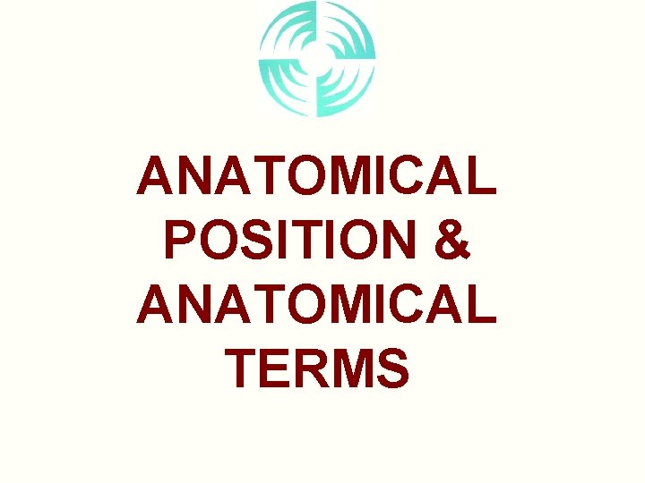 ANATOMICAL POSITION & ANATOMICAL TERMS 