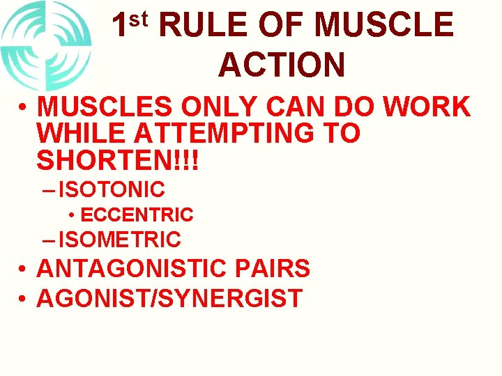 st 1 RULE OF MUSCLE ACTION • MUSCLES ONLY CAN DO WORK WHILE ATTEMPTING