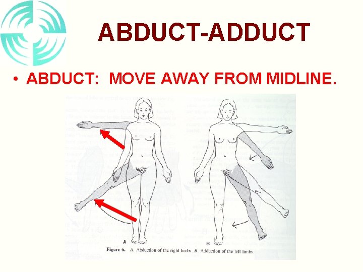 ABDUCT-ADDUCT • ABDUCT: MOVE AWAY FROM MIDLINE. 