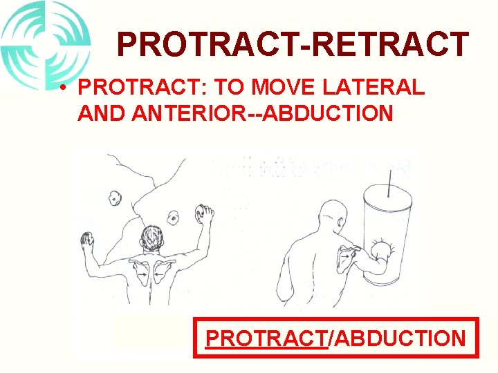 PROTRACT-RETRACT • PROTRACT: TO MOVE LATERAL AND ANTERIOR--ABDUCTION PROTRACT/ABDUCTION 