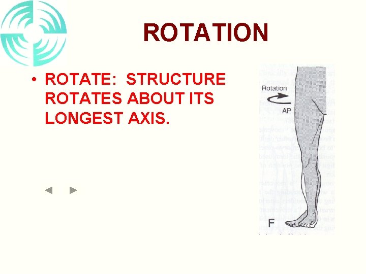 ROTATION • ROTATE: STRUCTURE ROTATES ABOUT ITS LONGEST AXIS. 