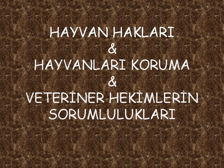 HAYVAN HAKLARI & HAYVANLARI KORUMA & VETERİNER HEKİMLERİN SORUMLULUKLARI 