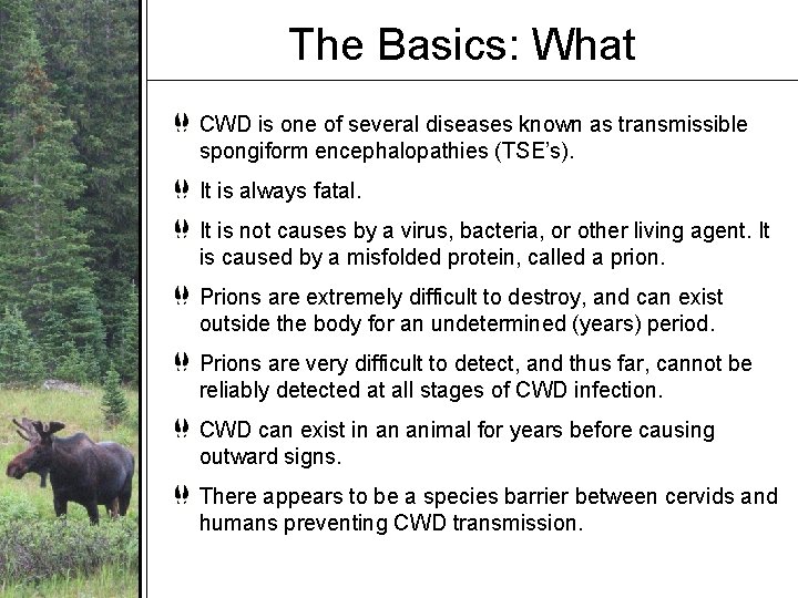 The Basics: What CWD is one of several diseases known as transmissible spongiform encephalopathies The Basics: What CWD is one of several diseases known as transmissible spongiform encephalopathies