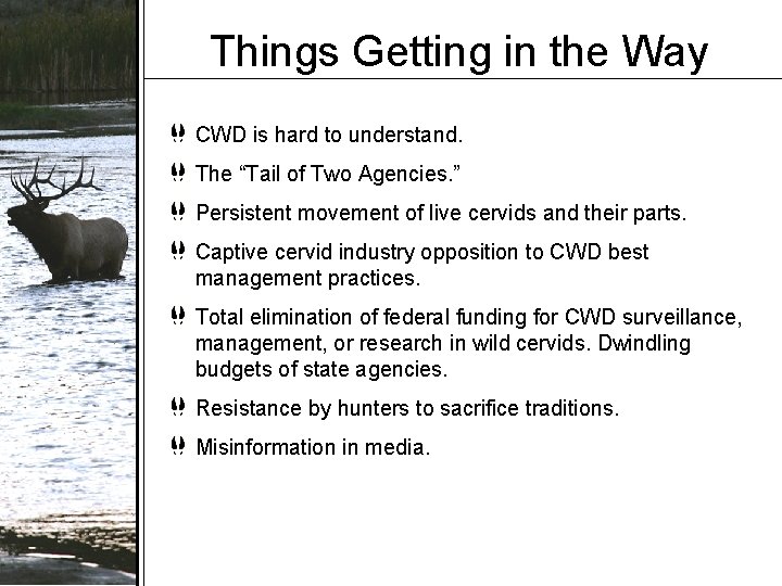 Things Getting in the Way CWD is hard to understand. The “Tail of Two Things Getting in the Way CWD is hard to understand. The “Tail of Two