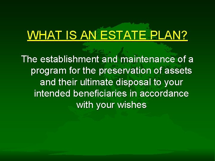 WHAT IS AN ESTATE PLAN? The establishment and maintenance of a program for the