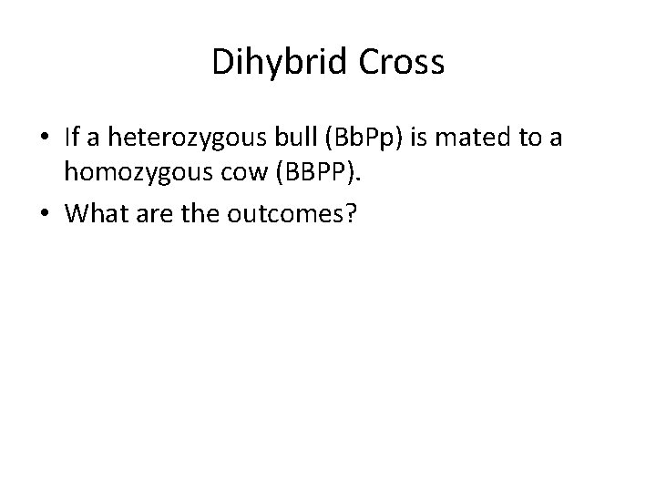 Dihybrid Cross • If a heterozygous bull (Bb. Pp) is mated to a homozygous
