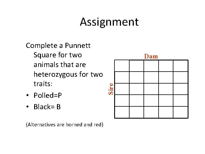 Assignment (Alternatives are horned and red) Dam Sire Complete a Punnett Square for two