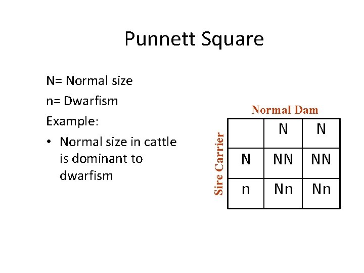 Punnett Square Normal Dam Sire Carrier N= Normal size n= Dwarfism Example: • Normal