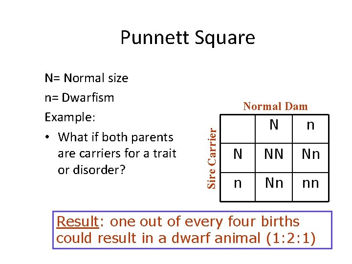 Punnett Square Normal Dam Sire Carrier N= Normal size n= Dwarfism Example: • What