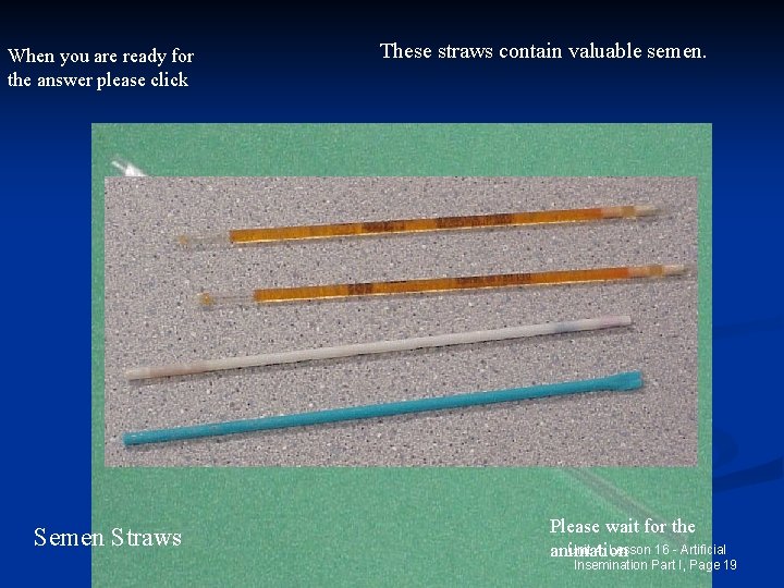 When you are ready for the answer please click Semen Straws These straws contain