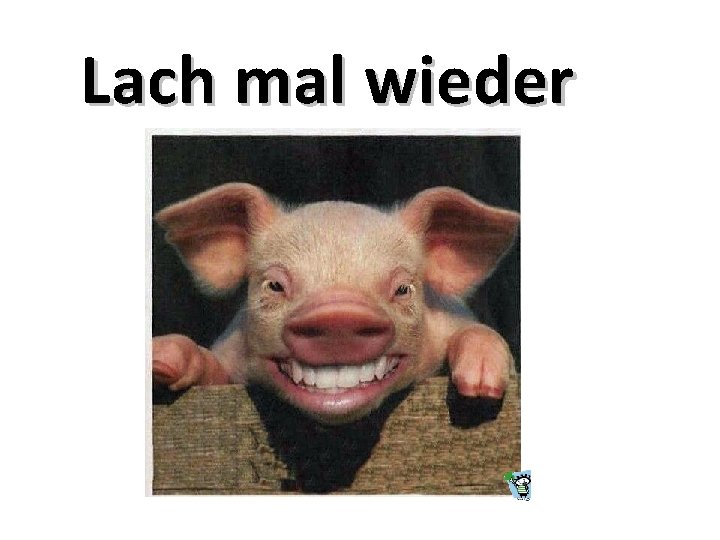 Lach mal wieder 