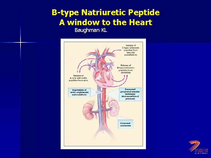 B-type Natriuretic Peptide A window to the Heart Baughman KL, NEJM 2002 