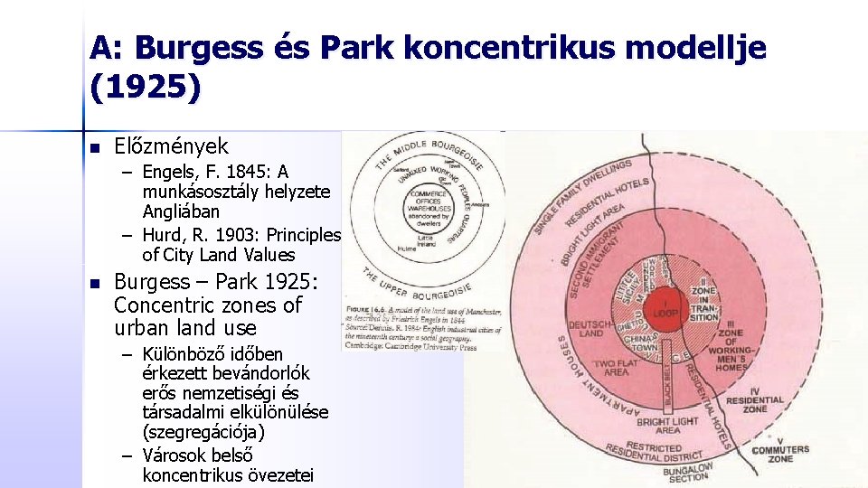 A: Burgess és Park koncentrikus modellje (1925) n Előzmények – Engels, F. 1845: A